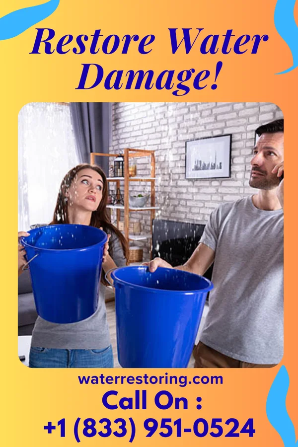 water restoration Solid Damage Restoration Contractors Stonington